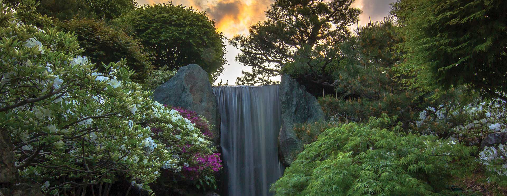 Japanese garden waterfall in a sunset