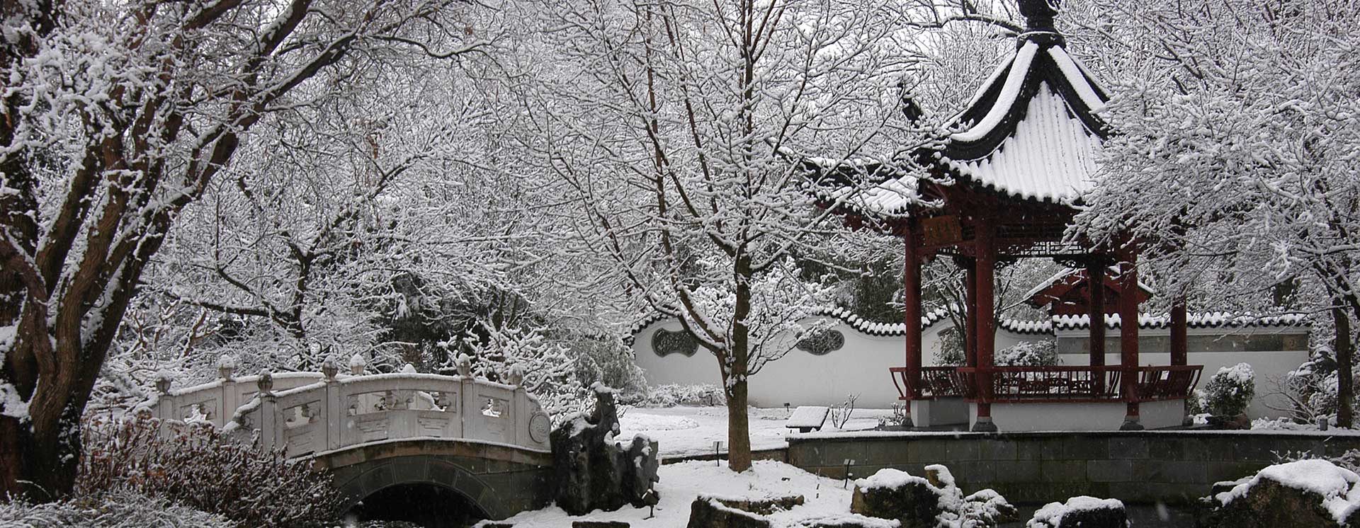 Japanese garden in a snow