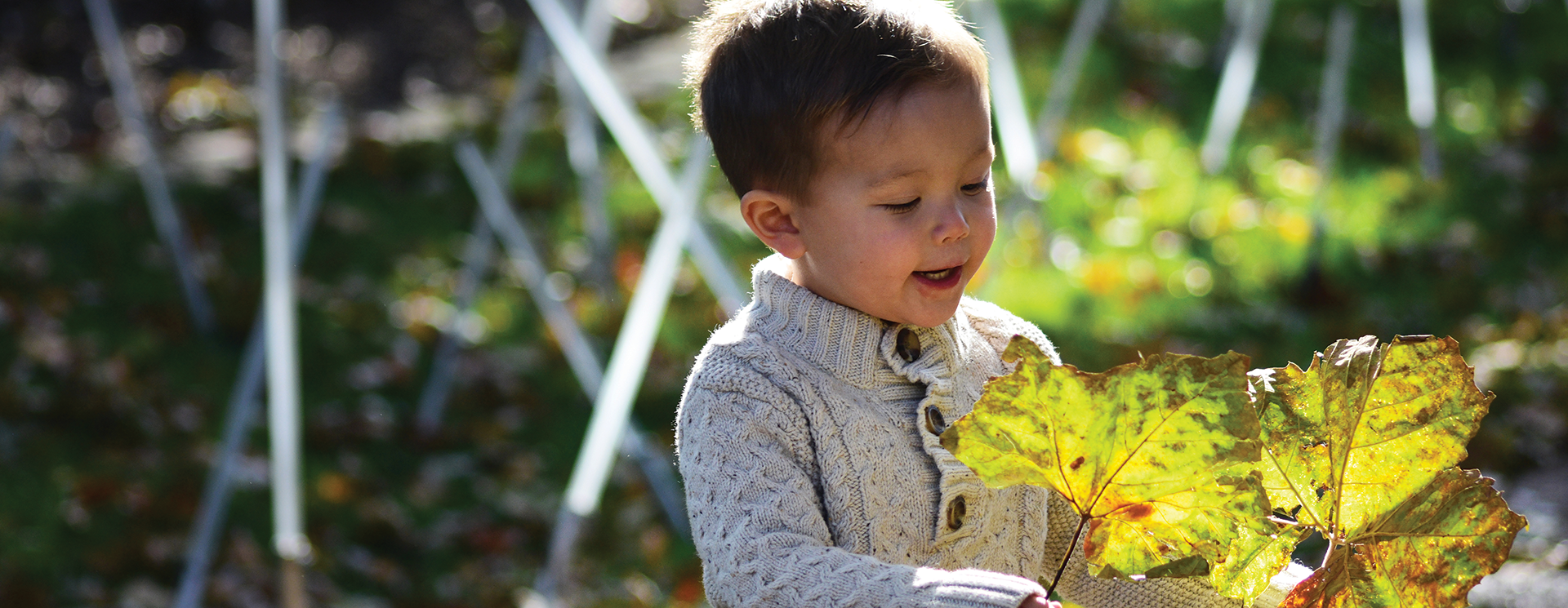 boy holding a big leaf