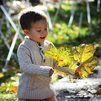 boy holding a big leaf