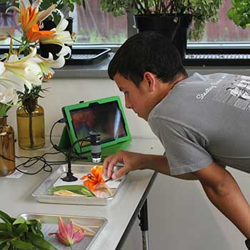 researcher looking at a plant